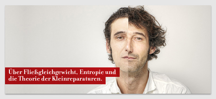 Über Fließgleichgewicht, Entropie und die Theorie der Kleinreparaturen